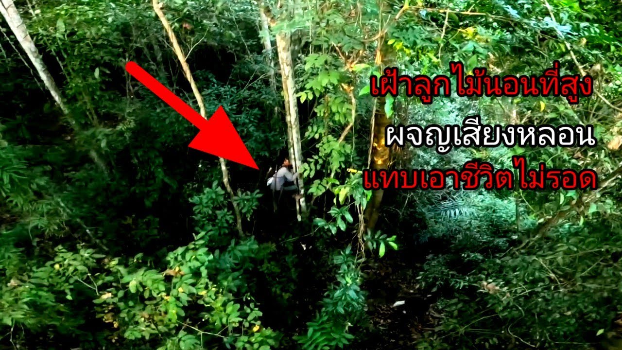 เฝ้าลูกไม้ผจญเสียงหลอนในยามวิกาล แทบเอาชีวิตกันไม่รอดในป่าลึก [ คน แบกเป้ ]