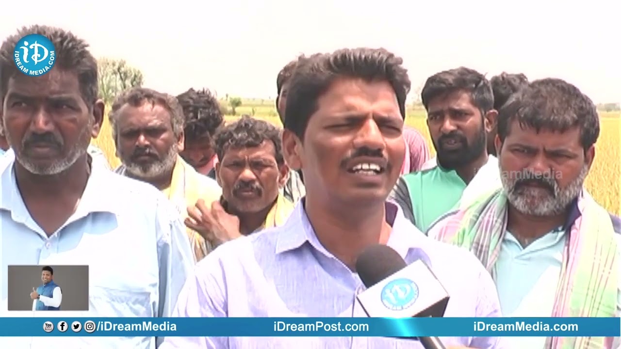 Rice Farmers suffer Heavy Losses Due to Hailstorm | iD Kakinada