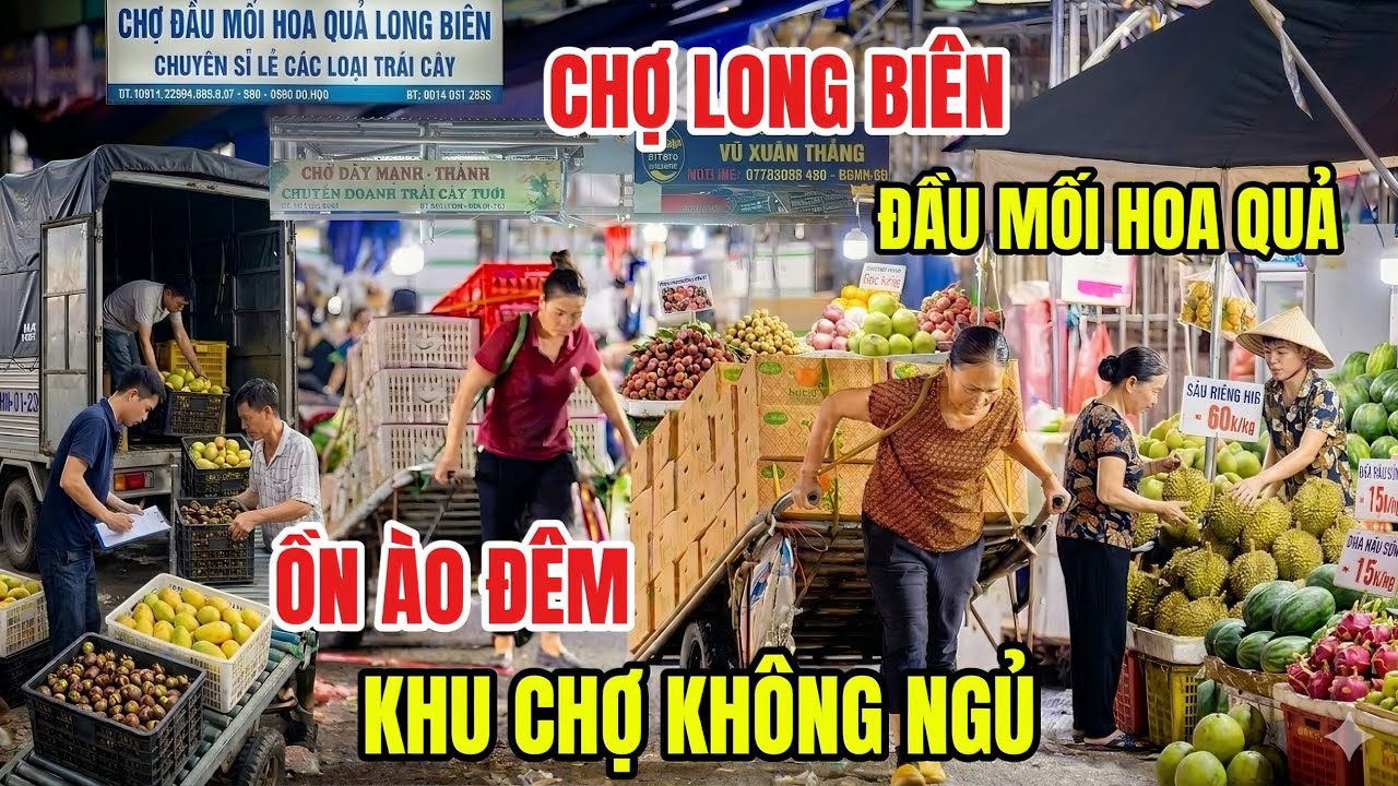 Khám Phá Chợ Đầu Mối Hoa Quả Lớn Nhất Miền Bắc- Ồn Ào Buôn Bán Hoa Quả Xuyên Đêm Không Ngủ