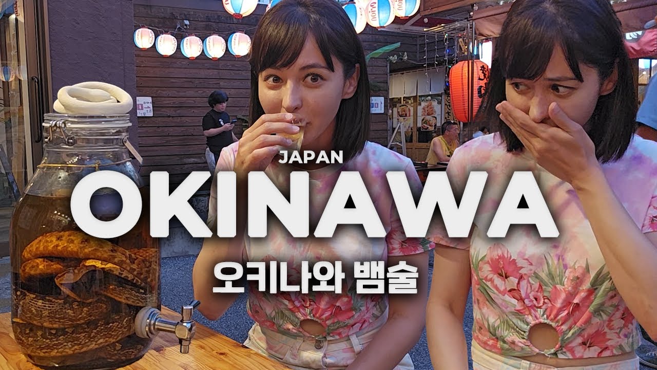 [4K] 오키나와 뱀술 | JAPAN OKINAWA