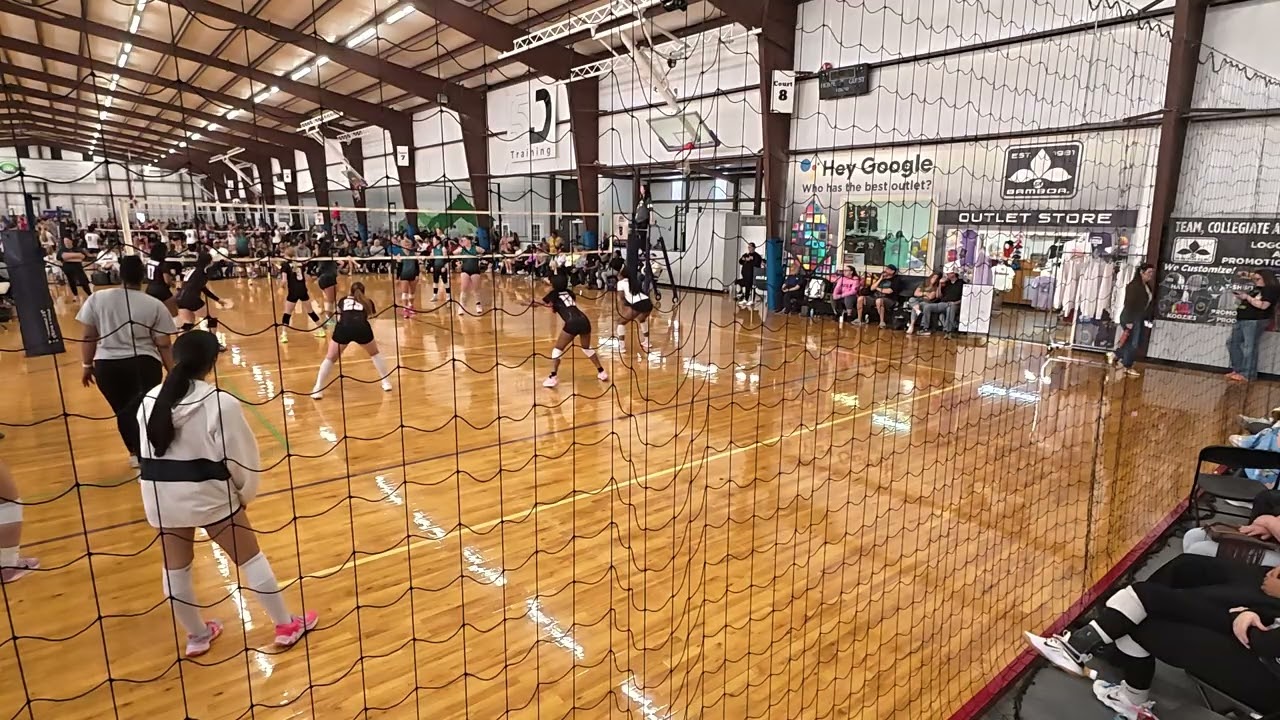 Dynamite 17s vs Apex 17 1
