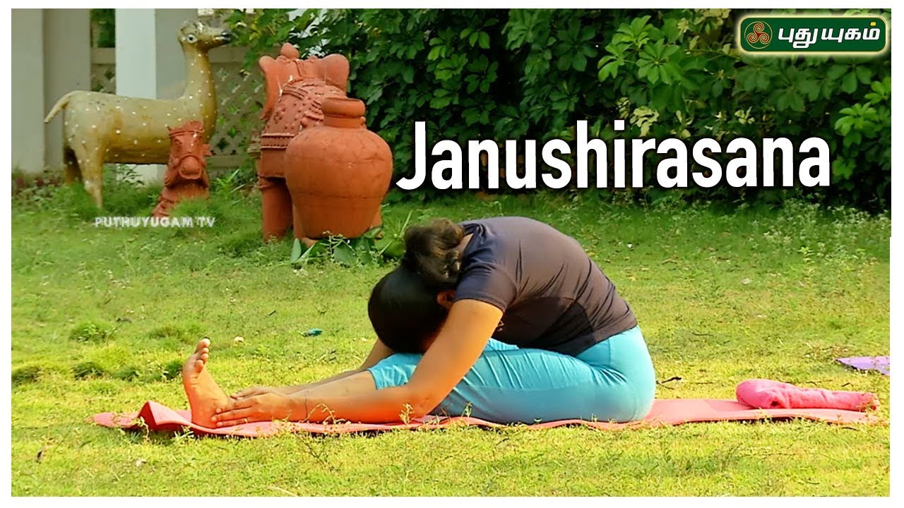Janushirasana (Head to Knee Pose) | ஜானு சிரசாசனம் | Stretching Pose | Yoga