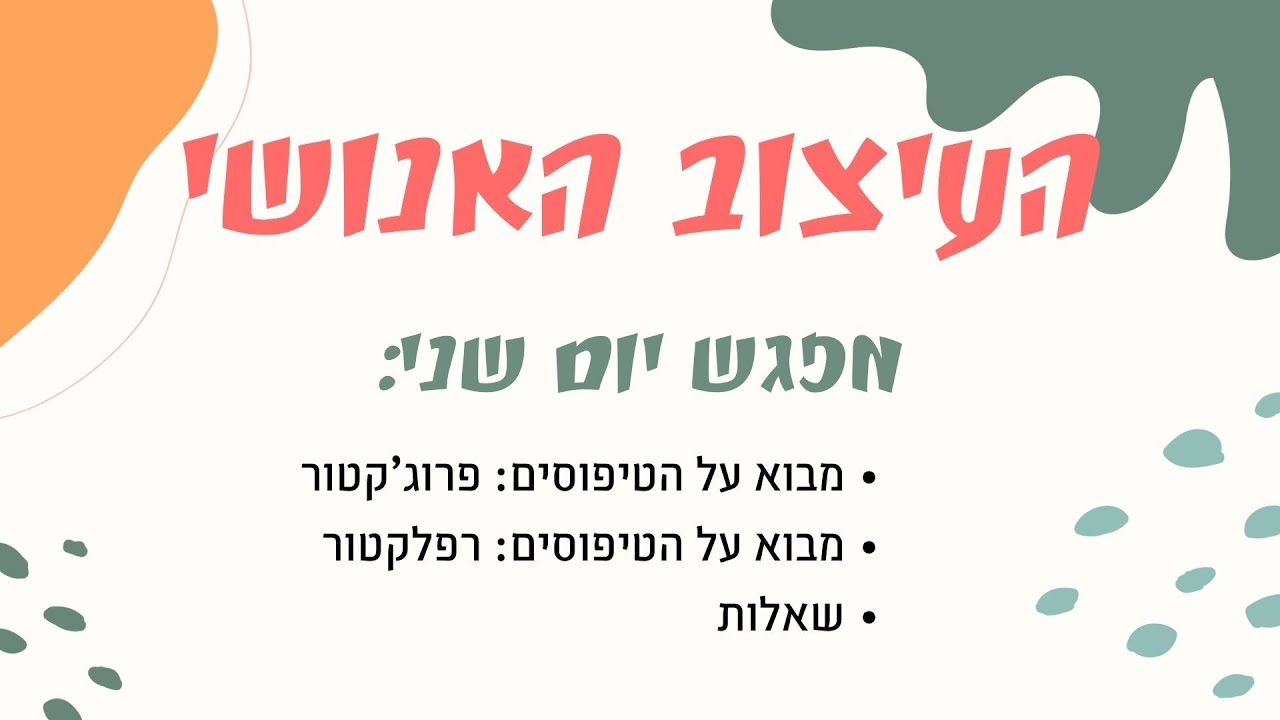 העיצוב האנושי - יסודות - רפלקטורים - מיכל יעלה משרקי