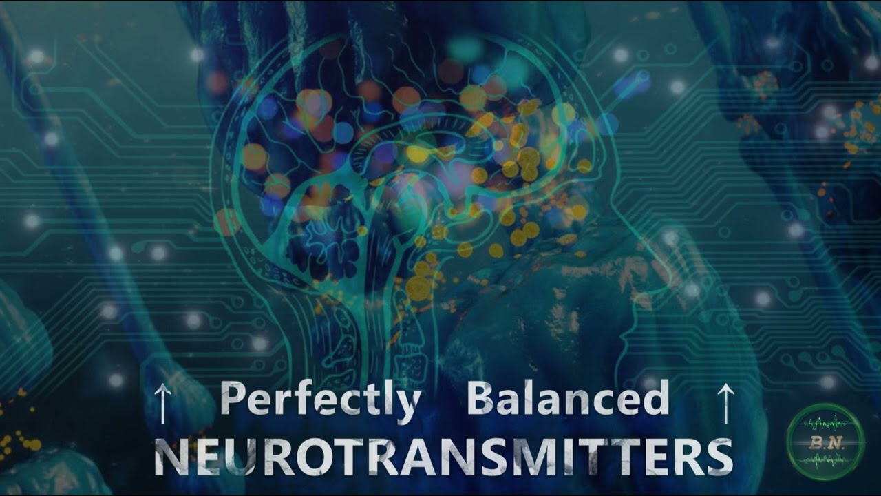 Perfectly Balanced NEUROTRANSMITTERS - Synthesis, Uptake, Storage, Receptor Sensitivity & Density