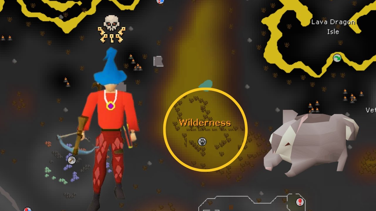 Pking Black Chin BOTS | 0 to a Billion | OSRS