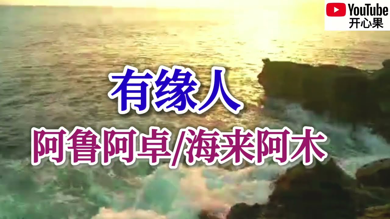 ❤️🎶阿鲁阿卓/海来阿木【有缘人】🎶❤️动态歌词