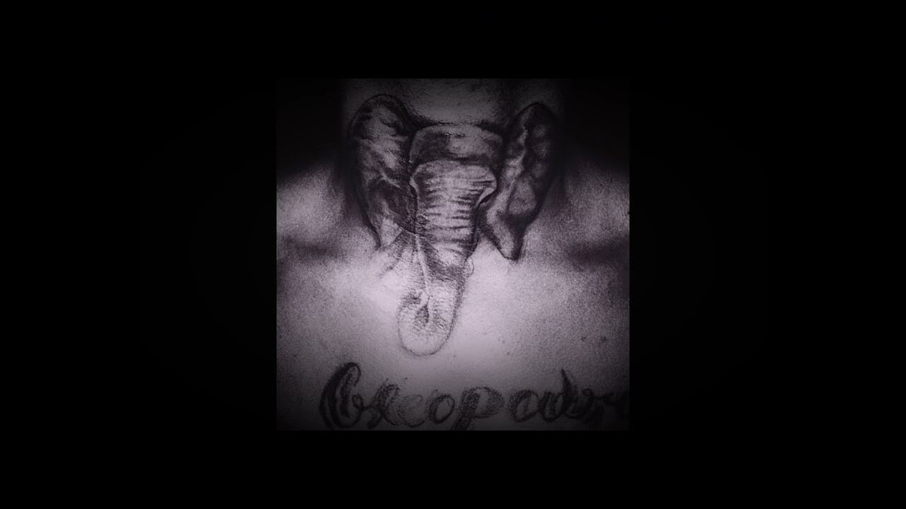 XXXTENTACION - Elephant in the room (super slowed + reverb)