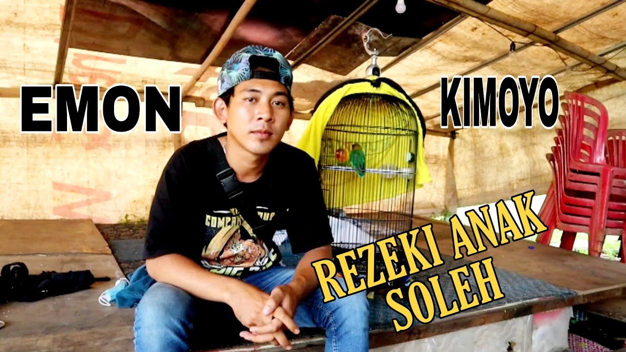 PROSES GAGAL DI TERNAK LOVEBIRD INI MALAH KONSLET ‼️
