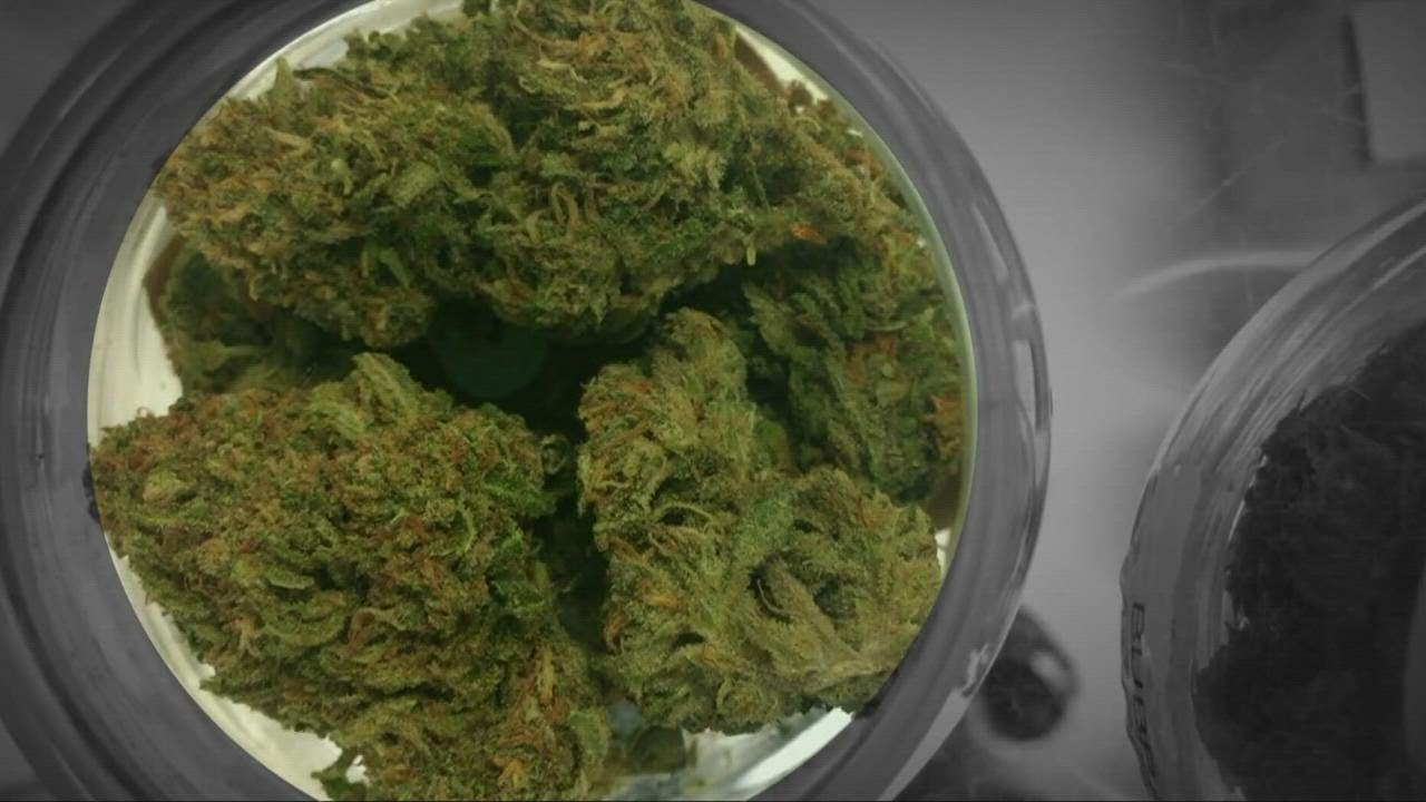 California lawmakers want to stop firings for failed cannabis drug testing