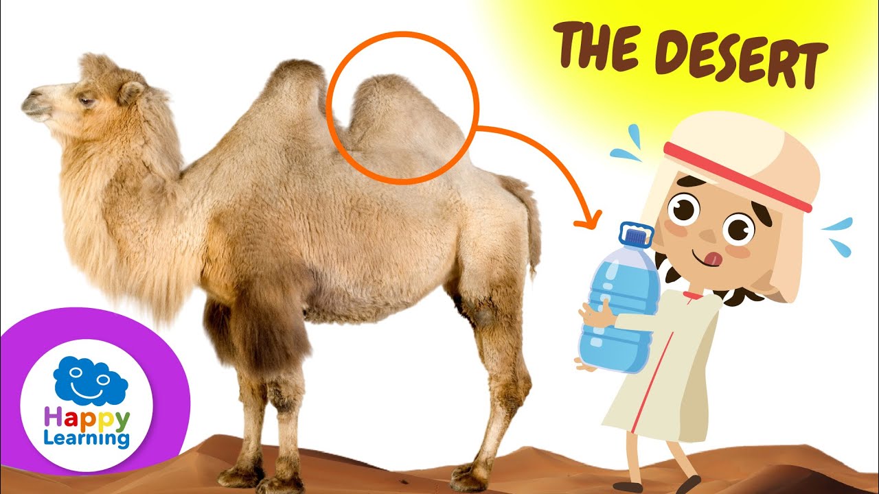 CURIOSITIES ABOUT DESERTS | Happy Learning 🏜️ 🐪