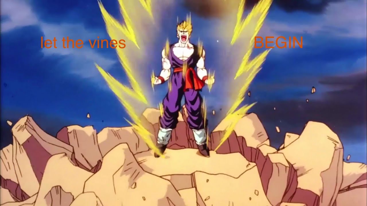 Dbz vine complition#1