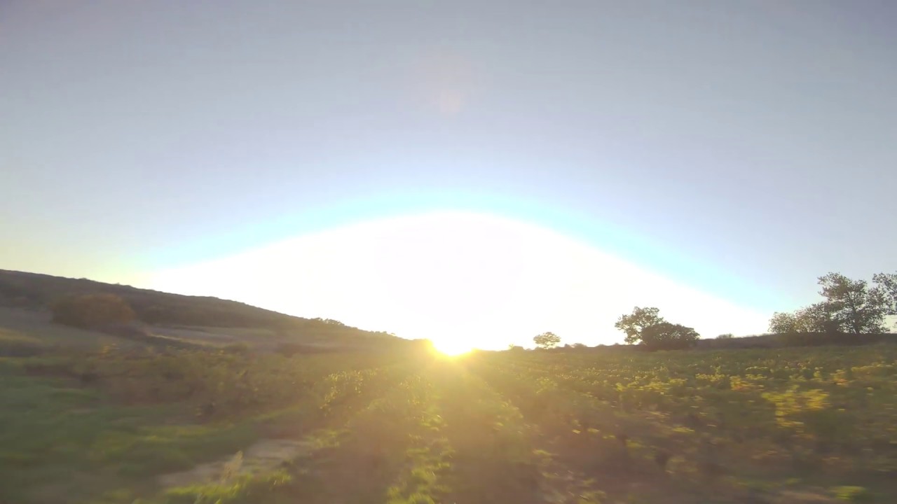 Cold freestyle session - FlightOne sim mode