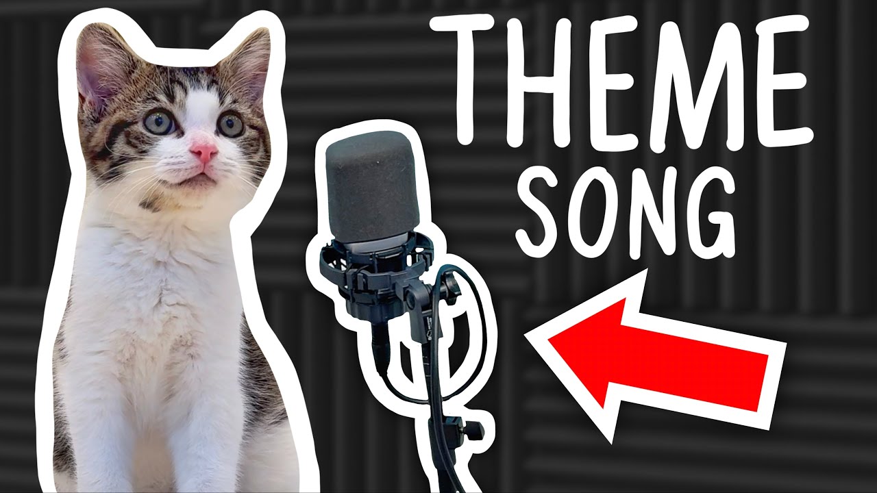I Wrote A Theme Song For My KITTEN!