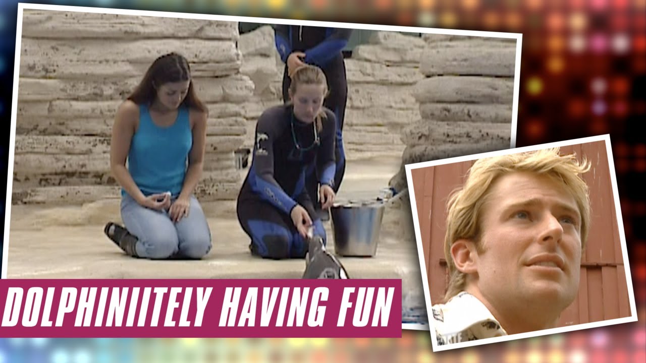 Dolphinitely Having Fun | ElimiDATE | Full Episode