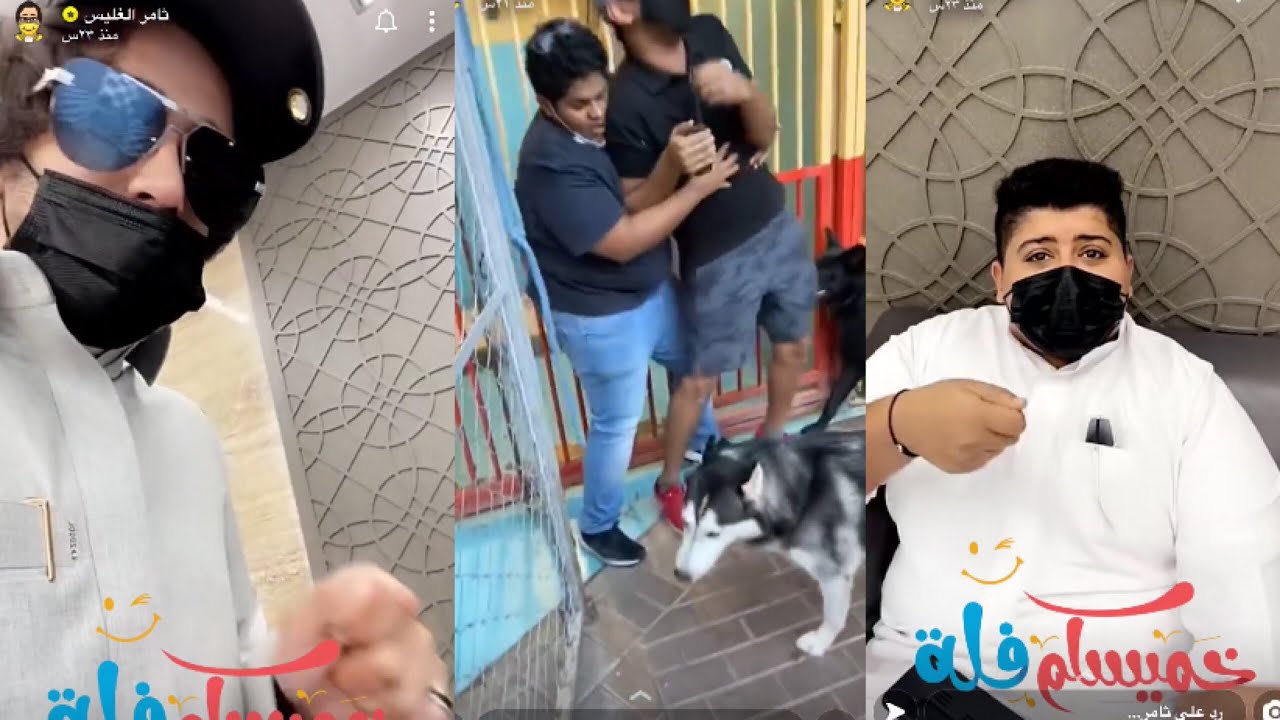 سنابات /// ثامر الغليس /// حبوبه خايف من الكلاب 🤣