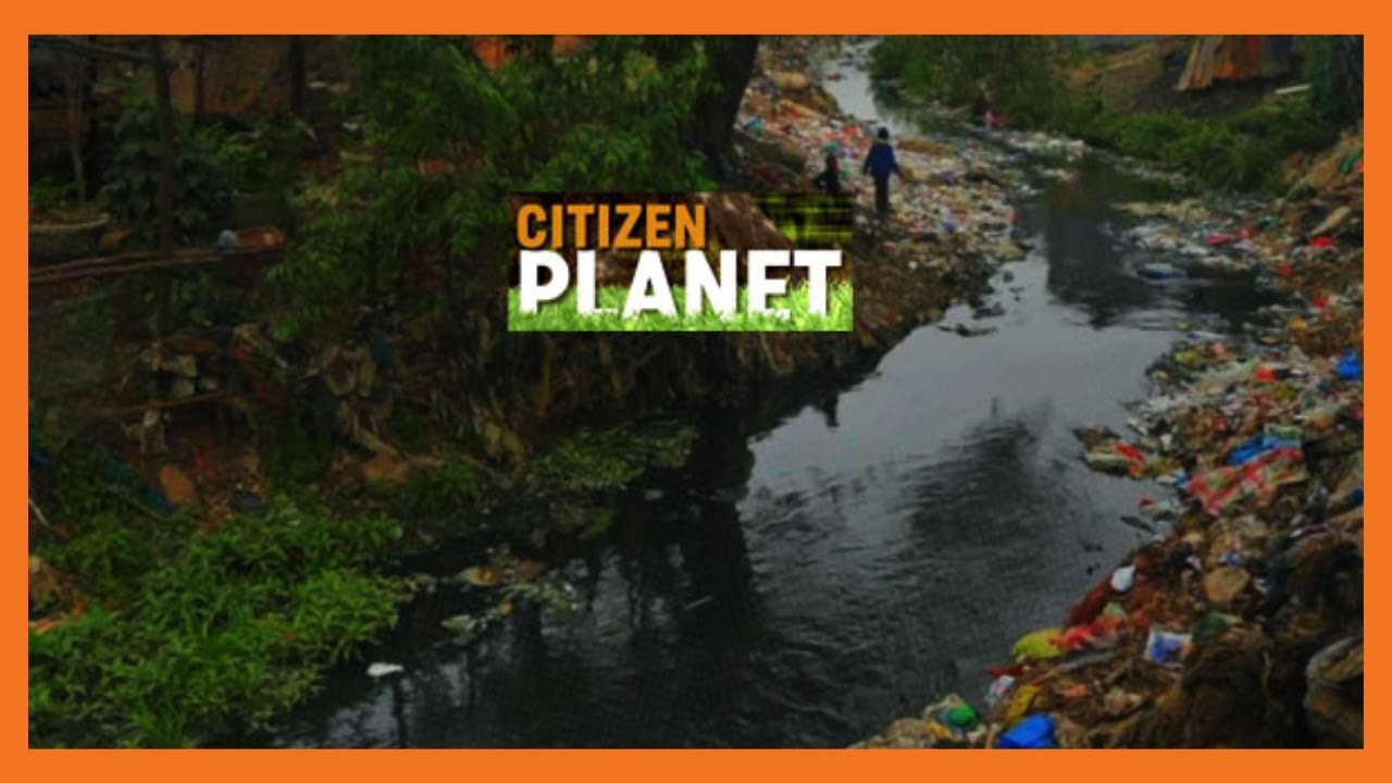 CITIZEN PLANET: Youth in Mukuru using black soldier fly in waste management