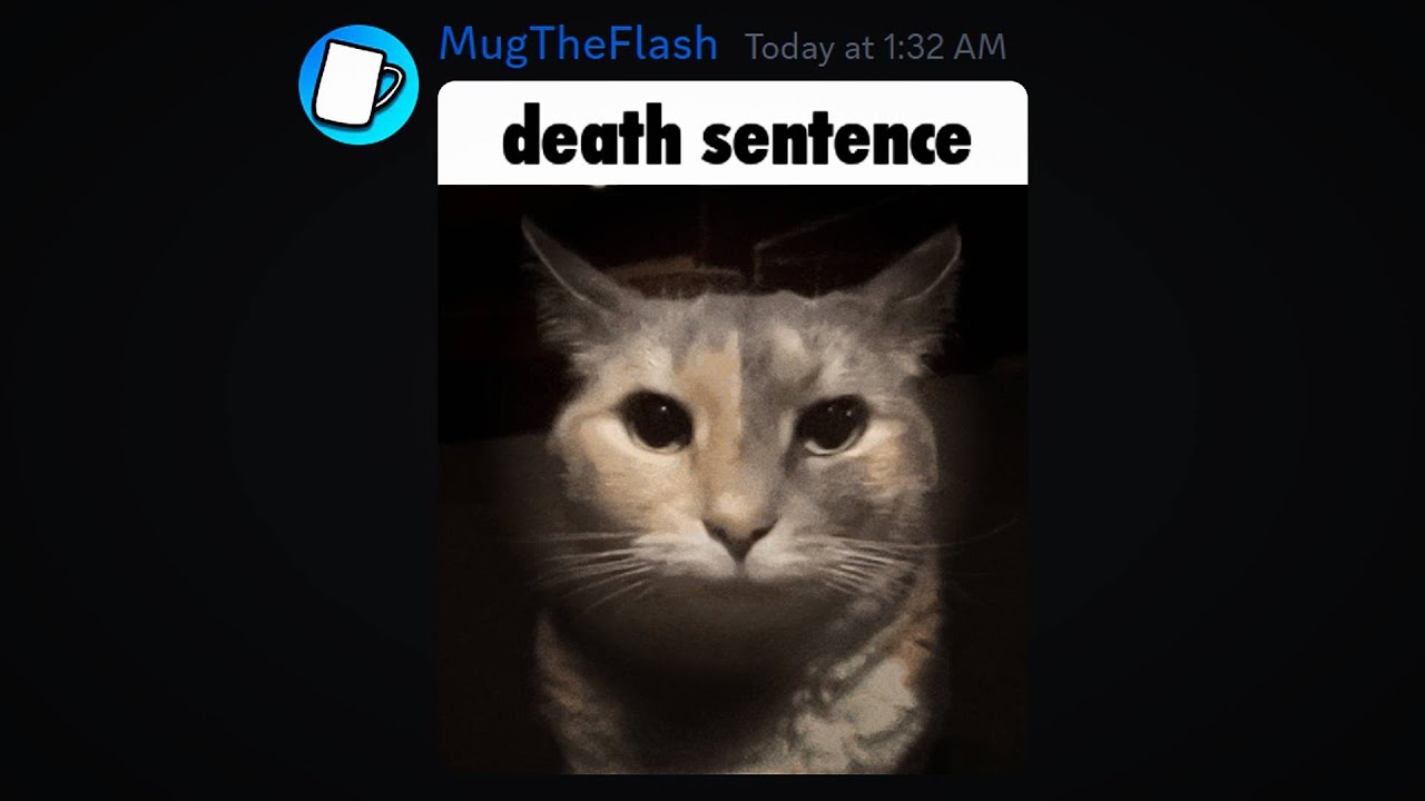 Discord&rsquo;s Most INSANE Gifs