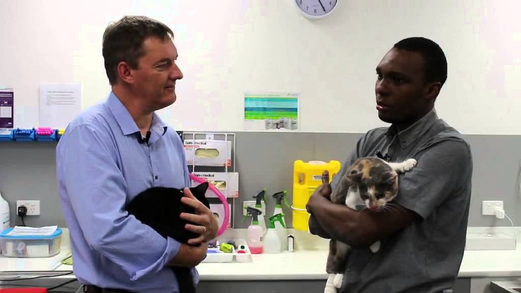 Bundaberg South Vet Clinic Testimonial