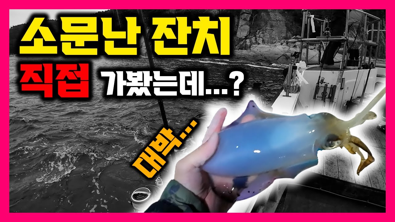초보도 두자릿수? 거제 무늬오징어 팁런&hellip; 직접 가봤습니다.