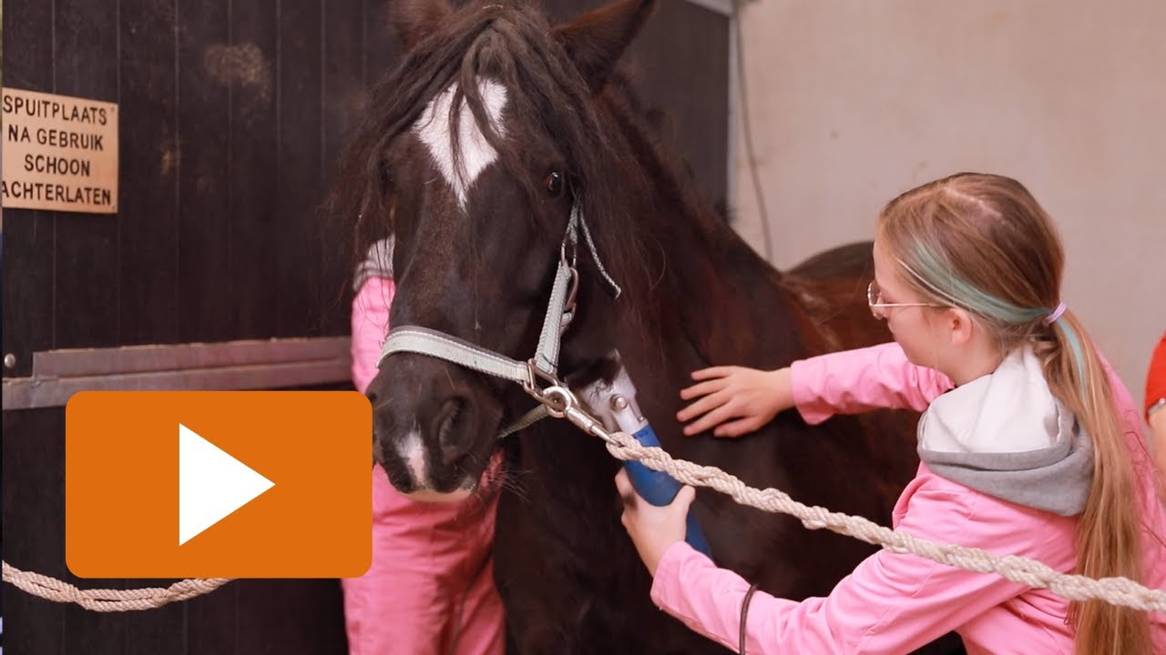 Paardenklas | Aeres VMBO Maartensdijk