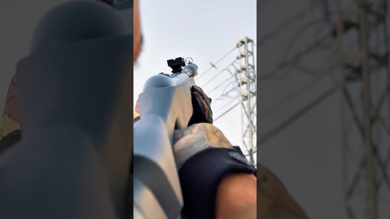 GAMO WISPER X AIR RIFLE SHOOTING THE DOVE 