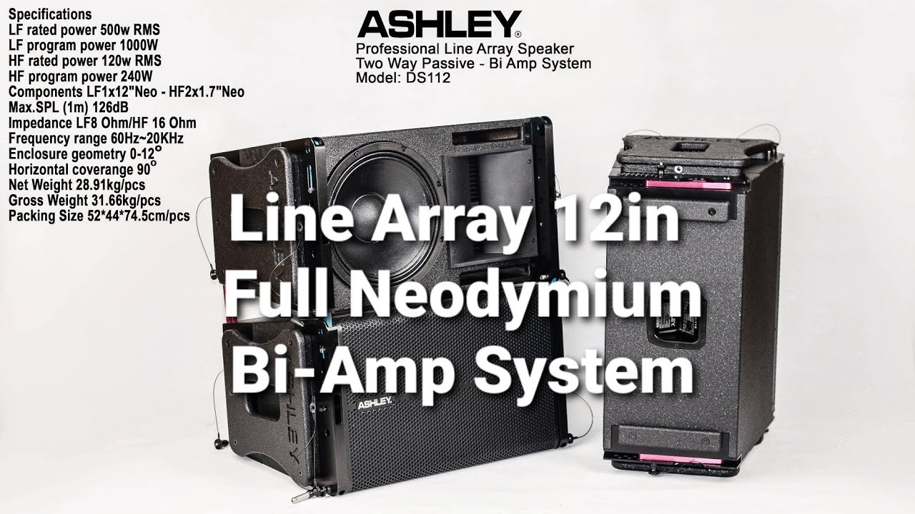 TEST & BONGKAR LIAT ISI DALAM NYA SPEAKER LINE ARRAY  ASHLEY DS112 + MANAGEMENT ASHLEY DSP4.8