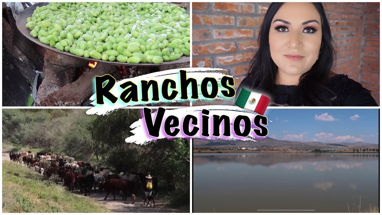 ASÍ SON LOS RANCHOS DE PÉNJAMO GUANAJUATO 🇲🇽😃