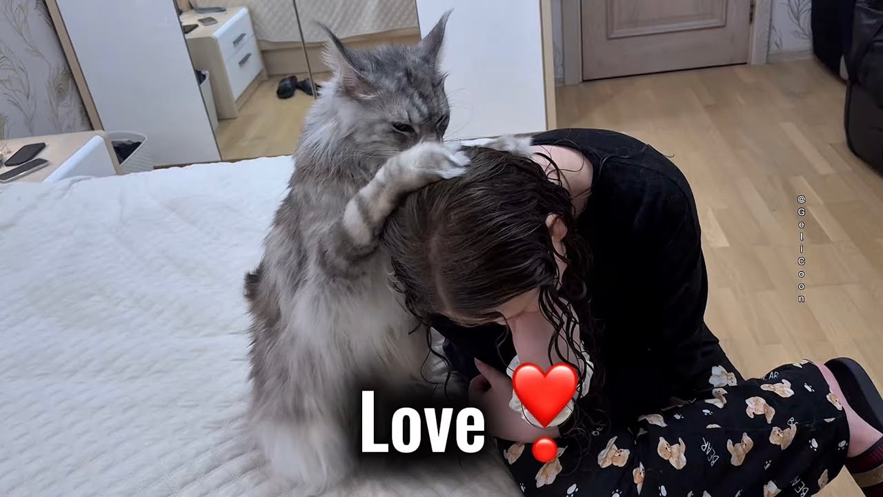 More Than a Pet, More Than a Friend: My Gentle Giant Gelic💙