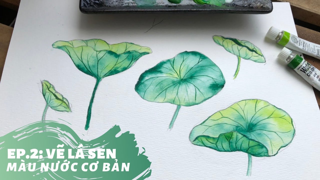 Ep.2: Hướng dẫn vẽ lá sen l Vẽ Tranh hoa sen màu nước cơ bản