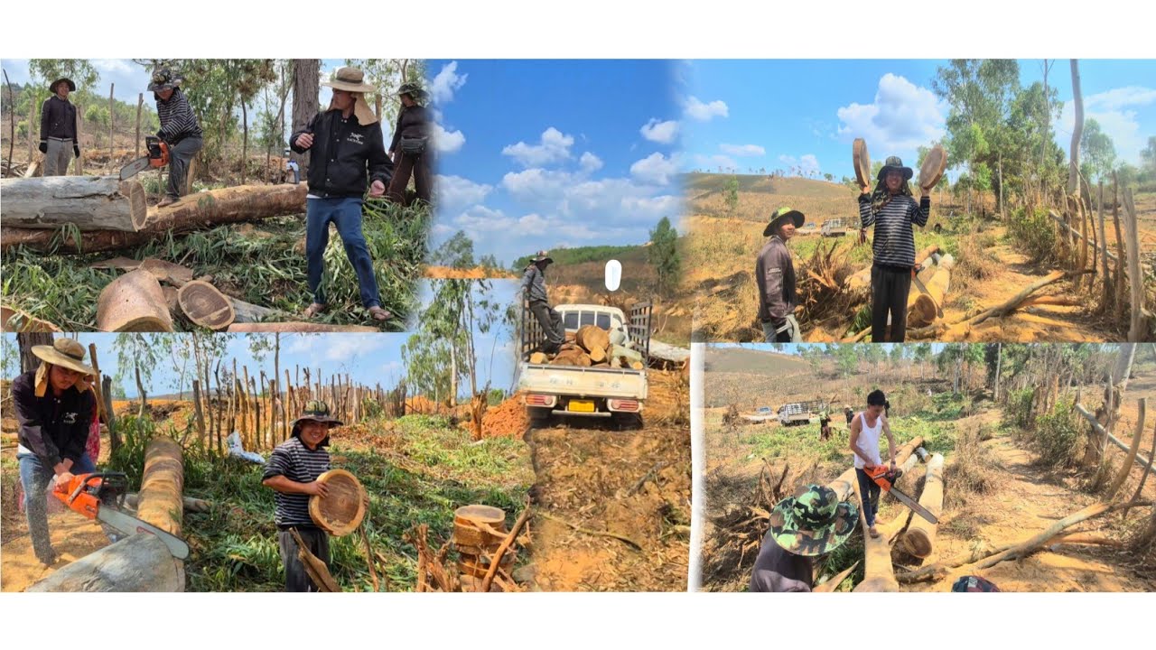 Hnub no qha vi thiab peev xwm mu txiav taw sab heev lis