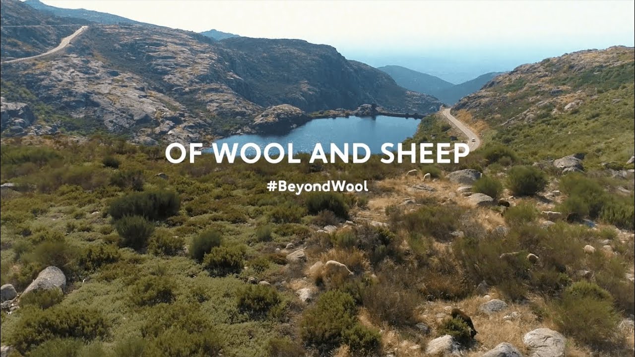 The Sustainable Shoe Brand in the Mountains of Portugal | Baabuk Sneakers | Munjiri Videos
