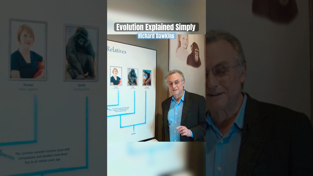 The #Evolution & #Relationship Between #Humans and #Chimpanzees - #RichardDawkins Explains