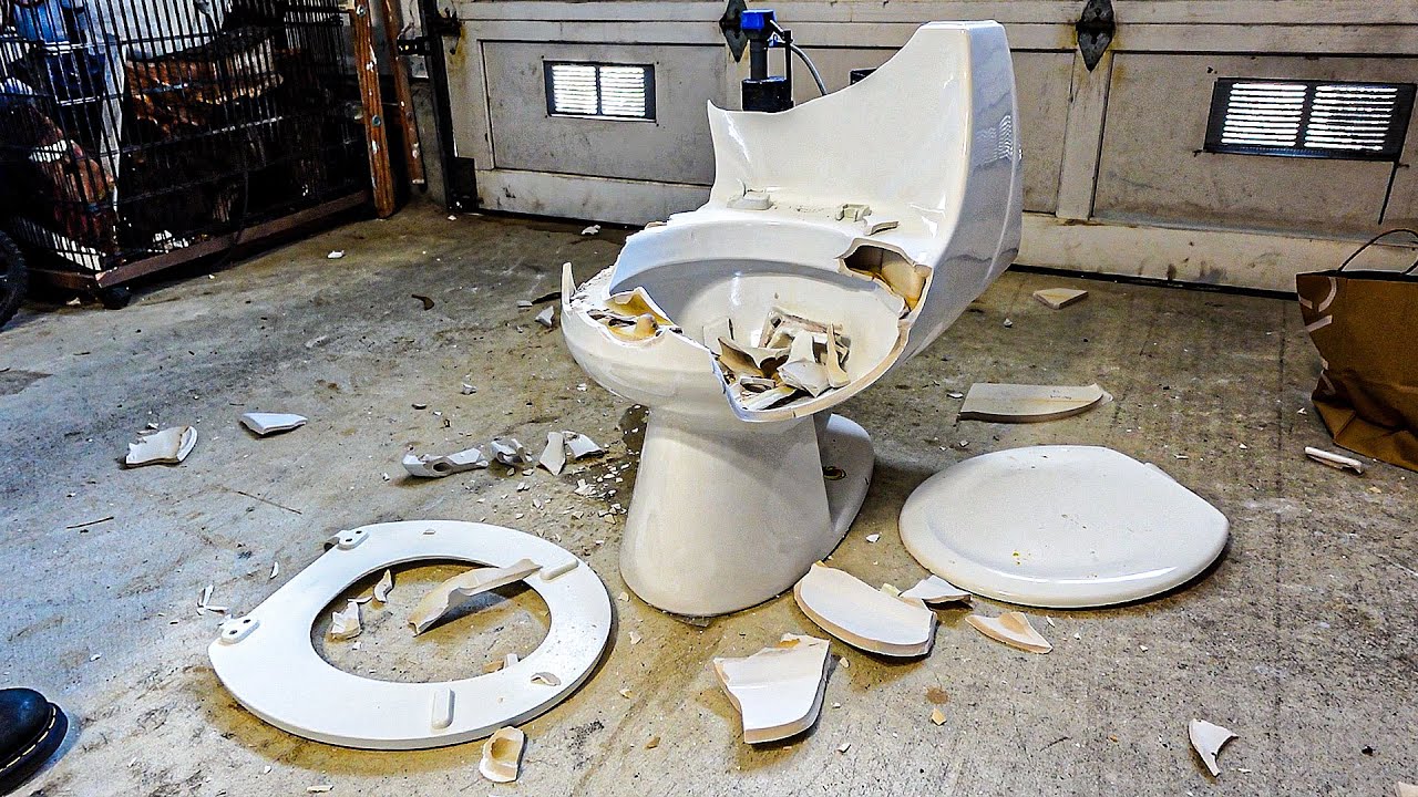 Kohler Toilet Destruction