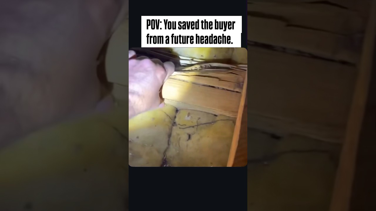 Home Inspection #homeinspector #homeinspection #termites #pestcontrol #oldhouse #renovation