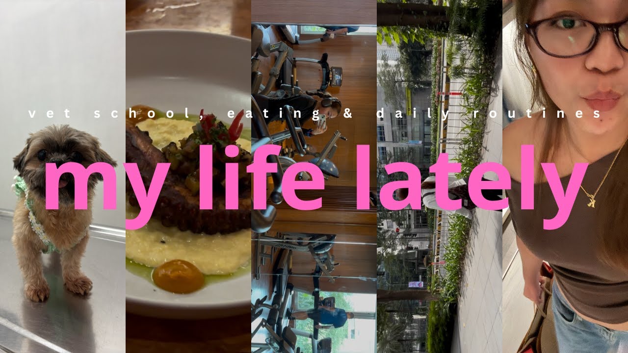 my life lately | vet school, eating & daily routines