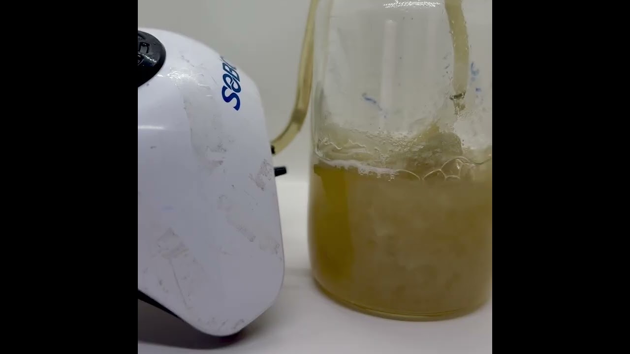 Dónde comprar Trichoderma en Ecuador 