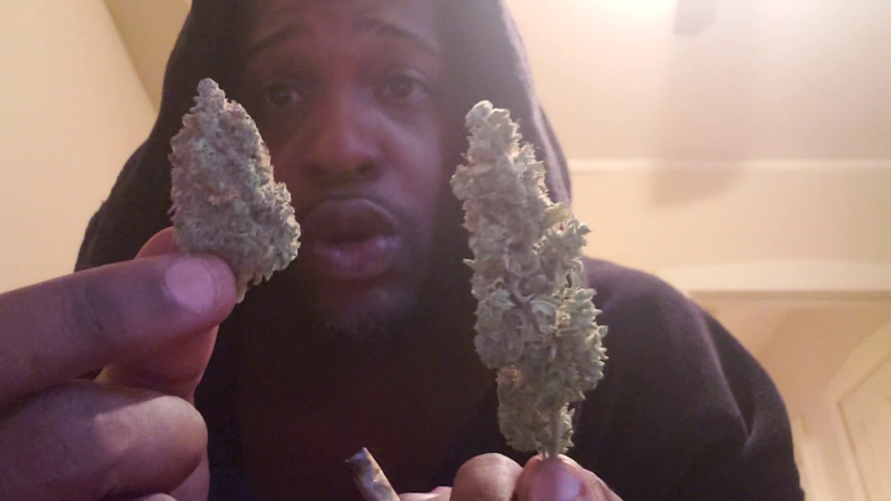 Og kush genetics and y we need to be cloning