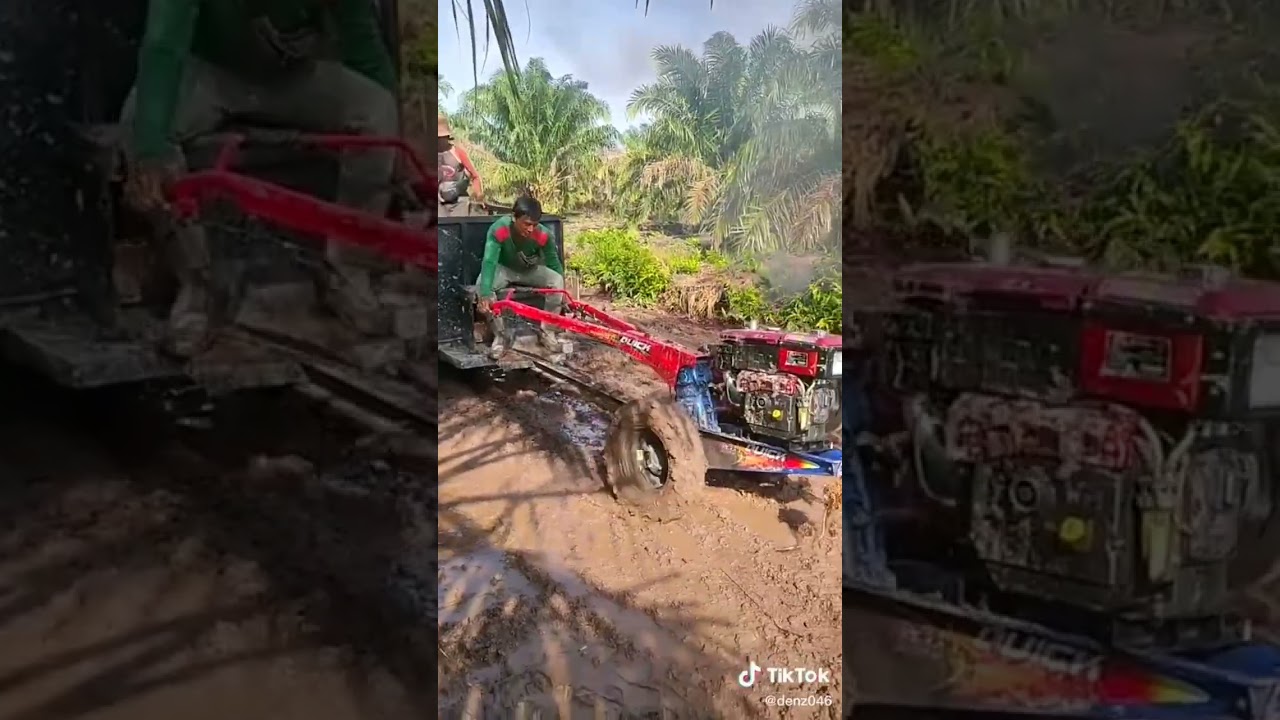 melansir sawit pakai traktor#shorts