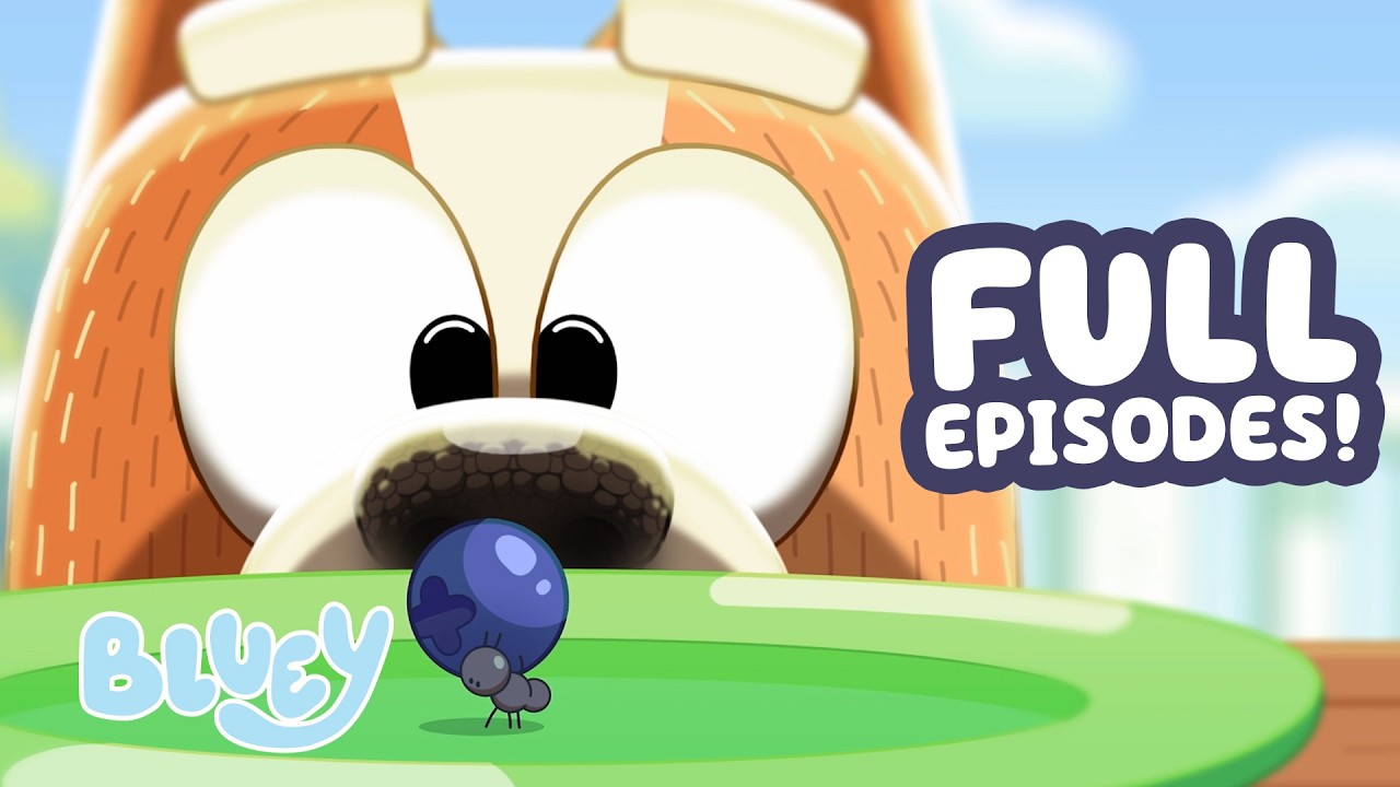 Bingo i Blueberry Bug! 🐜 🫐 | Kompilacja PEŁNYCH ODCINK&Oacute;W Bluey 💙 | Bluey
