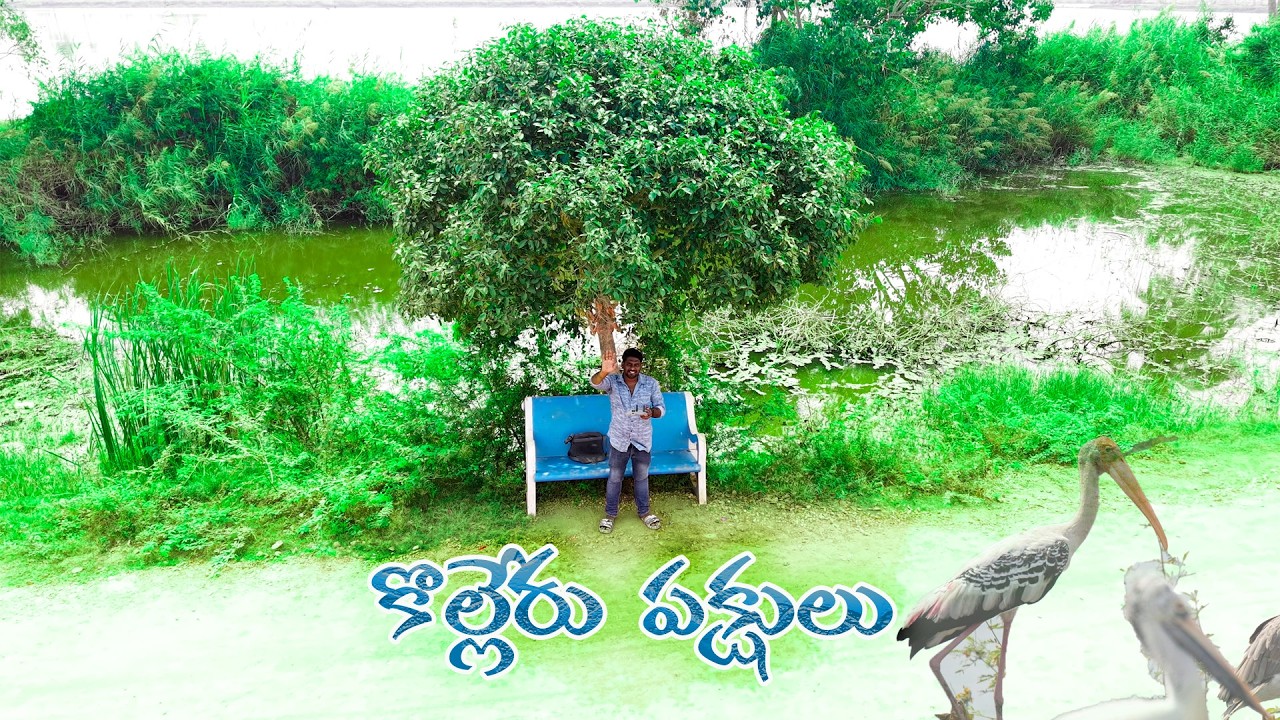 Travelling Abbaie Satya || Atapaka Kolleru Birds || Pittala Doddi