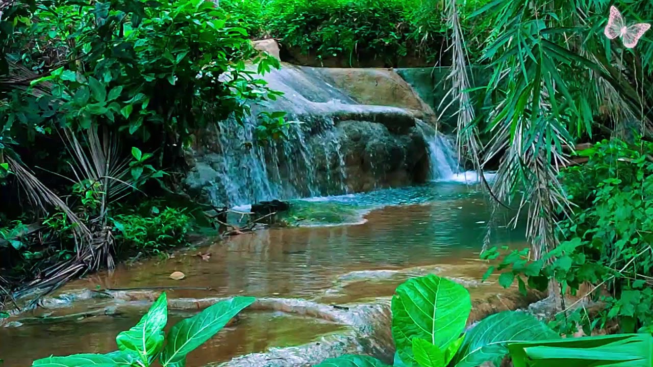 Relaxing Music For Stress Relief, Anxiety and Depressive States🌲 Heal Mind, Body and Soul Relax 1