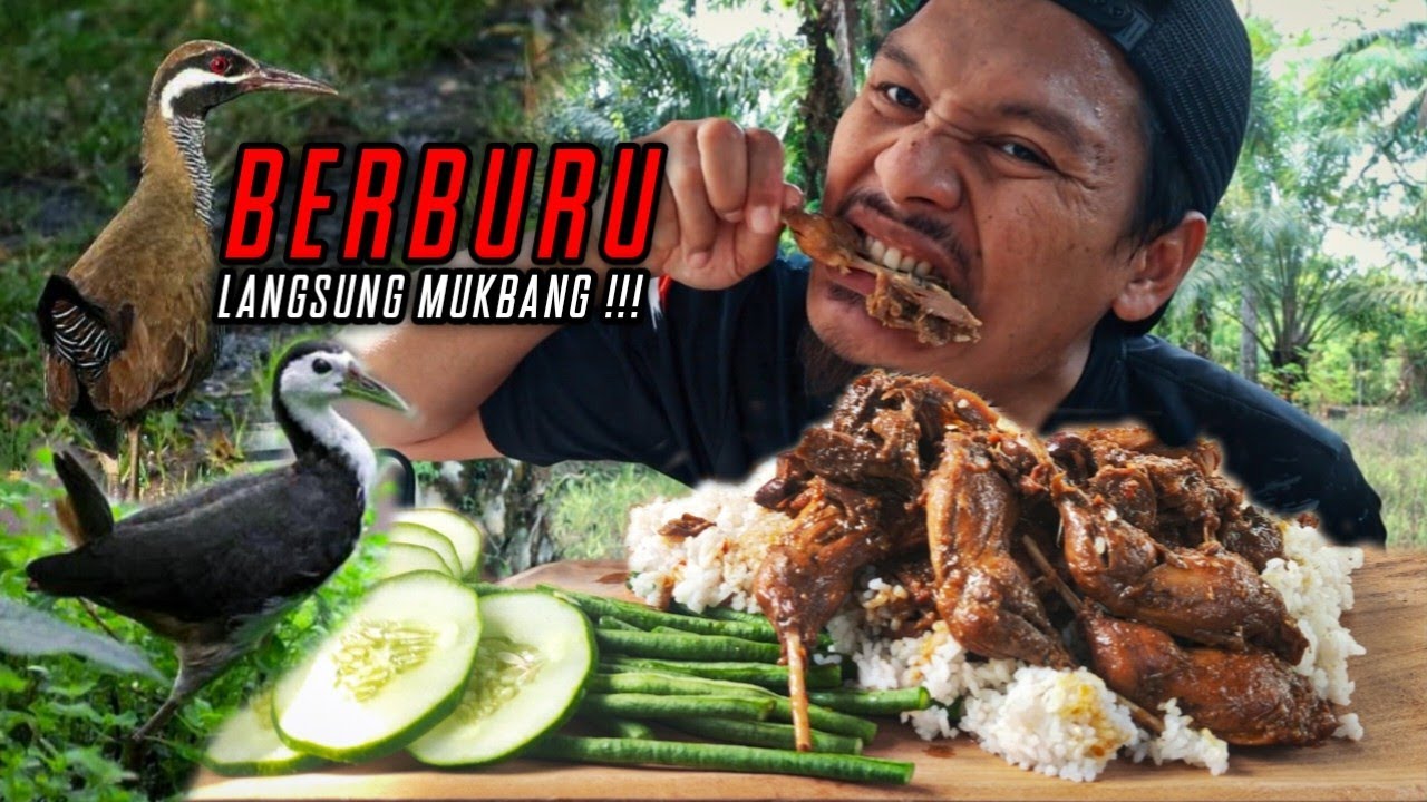 GURIH POOLL‼️RICA RICA BURUNG RUAK WERIS‼️ BERBURU RUAK RUAK WERIS LANGSUNG MASAK DI HUTAN‼️