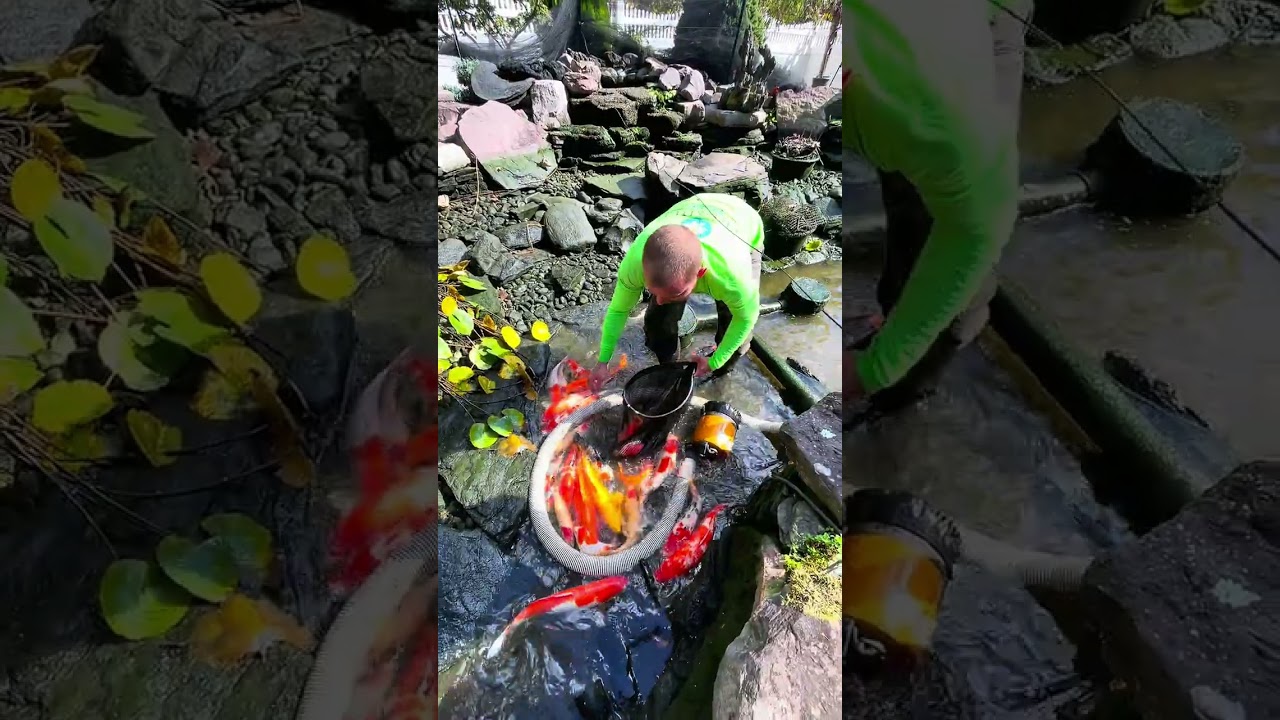 Ethical Fish-Handling! 🕺🐠🐠