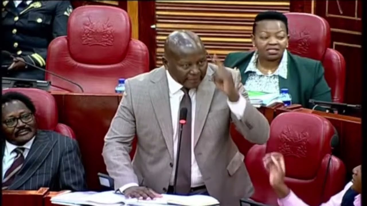 SENATORS FORCED TO CALM DOWN ANGRY KAJIADO SENATOR AS HE ALMOST ATTACKS SPEAKER KINGI