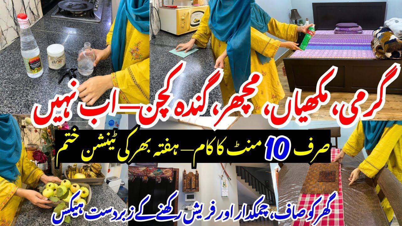 10-Minute Home & Kitchen Routine for Clean, Pest-Free and Shiny Home 🏡 | Smart Home Management 