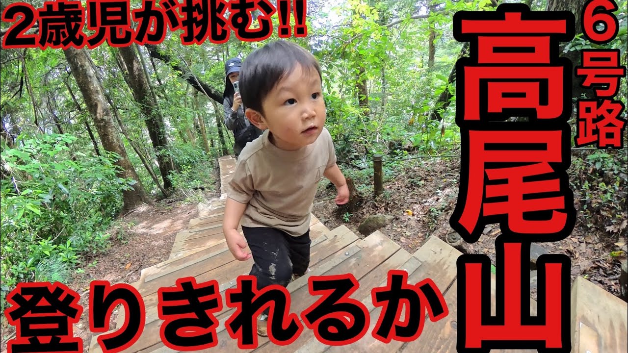 【高尾山】2歳児が自力で登りきれるか初挑戦するも、ど、どうなる高尾山6号路‼︎2025年版