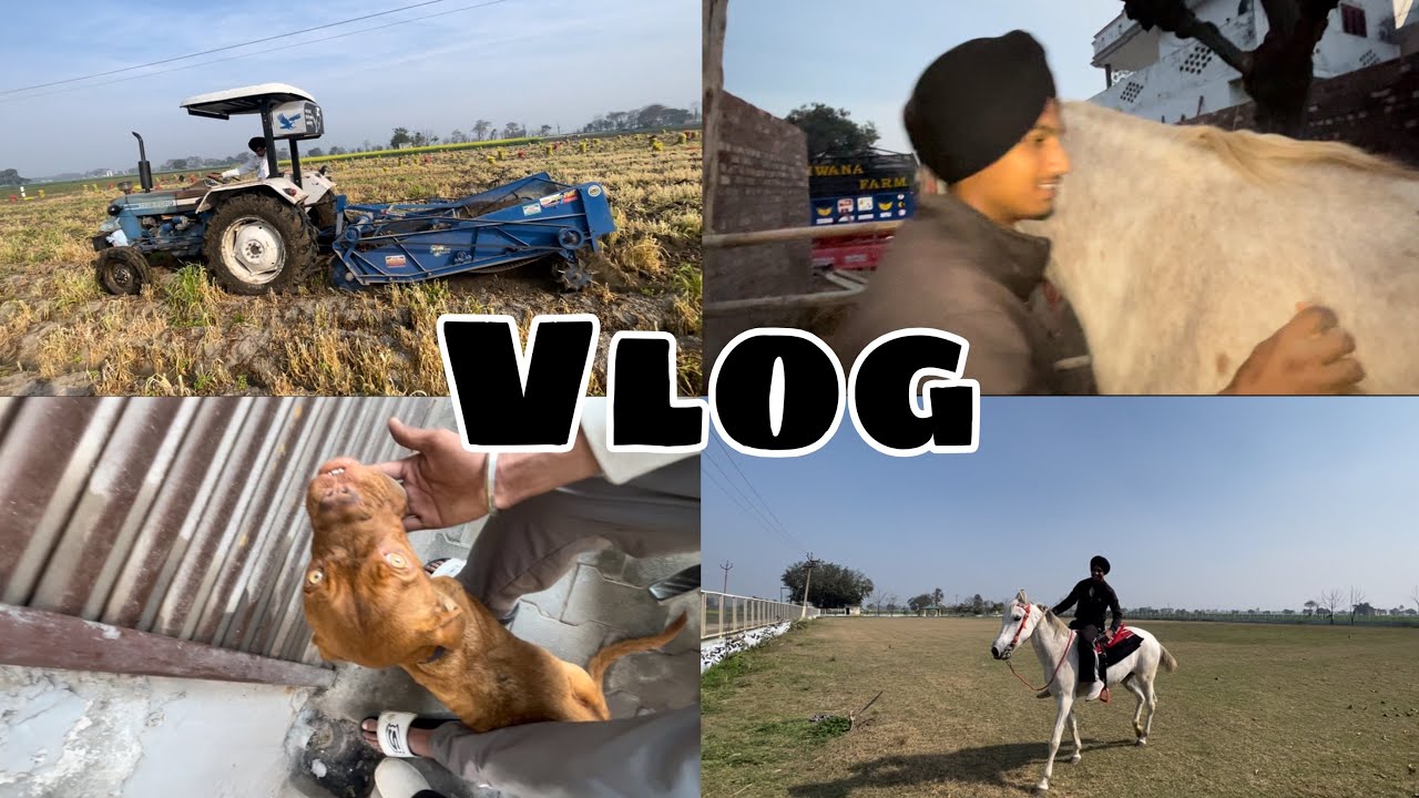 1.5 ਕਿਲੇ ਆਲੂ ਪੱਟ ਤੇ🚀 vlog 2026🚩