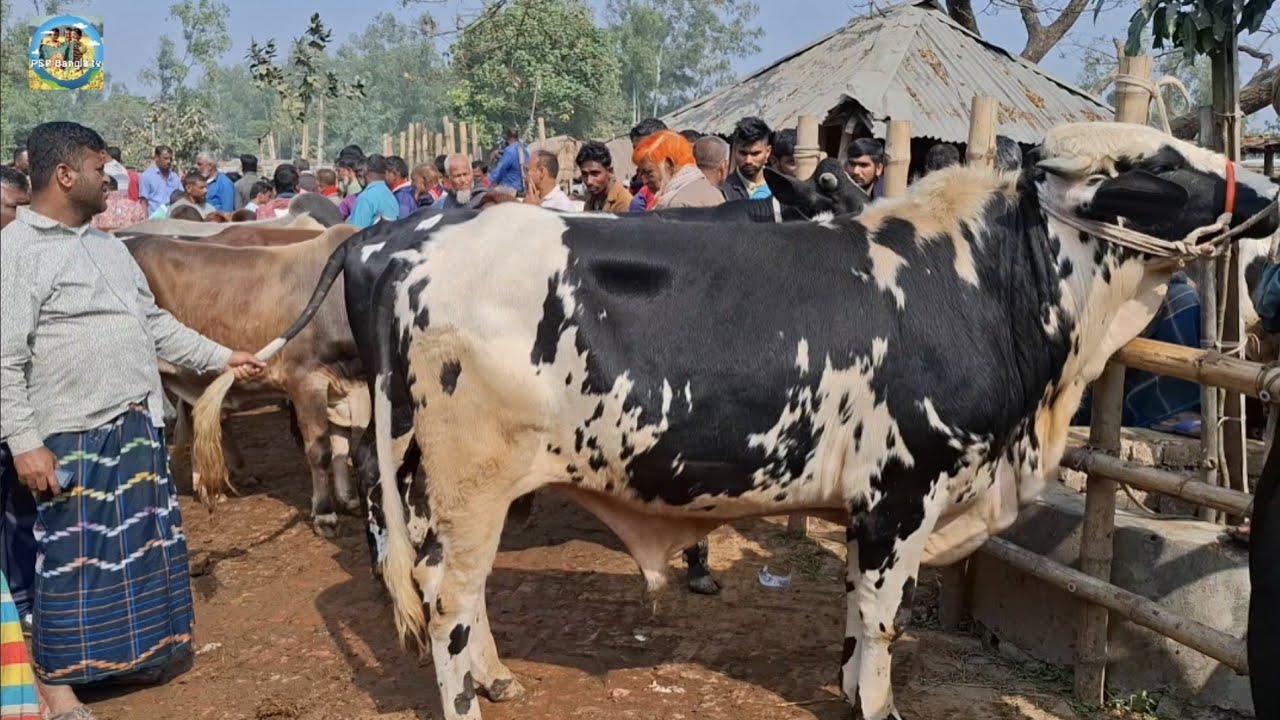 @ ৩০ জানু