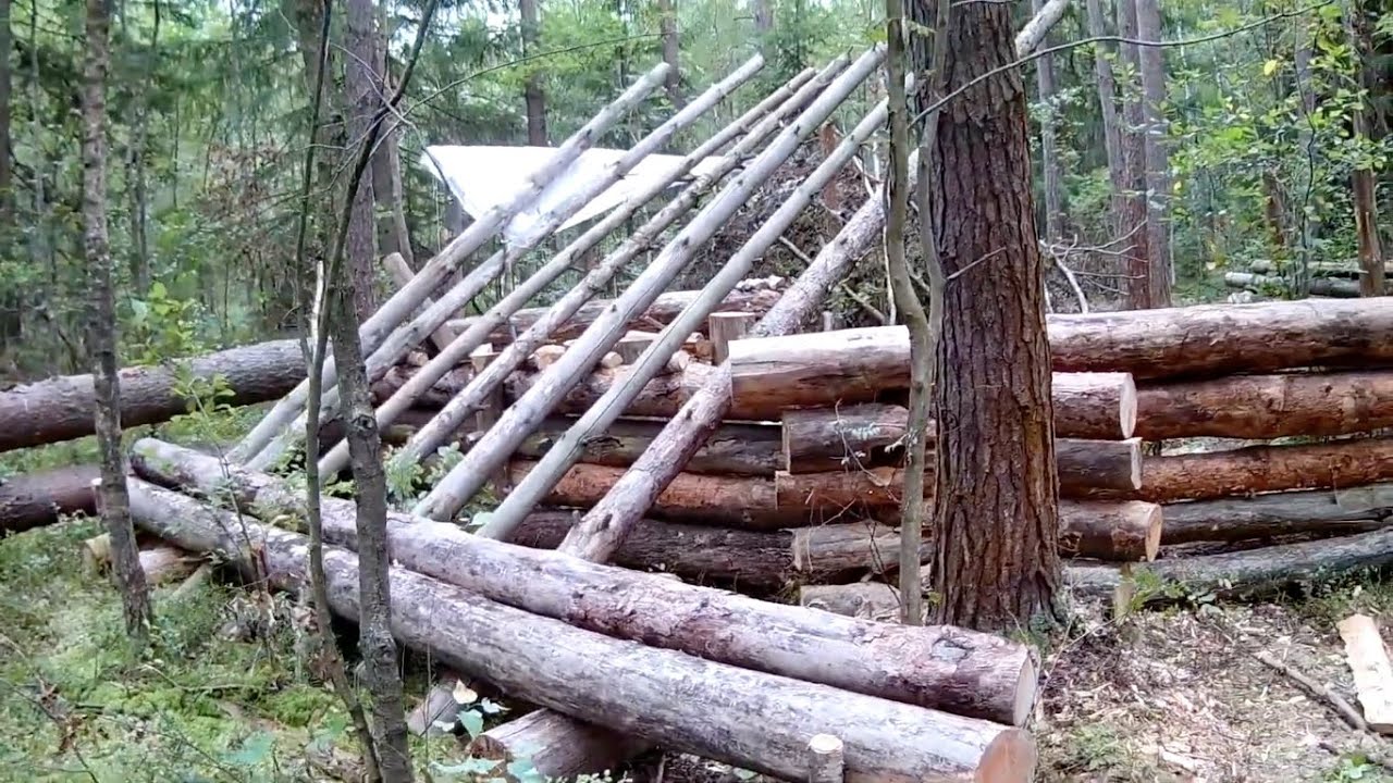 Wild fortress from huge logs . Timelapse . Super shelter . No talk