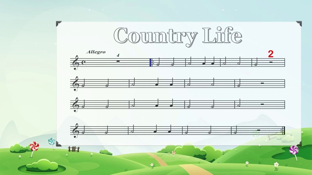 3ºMU Flauta Country Life